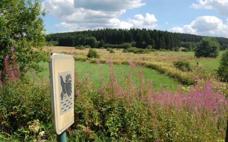 SUMMER - Black grouse as high fens Nature Reserve symbol at LEVEL600 B&B